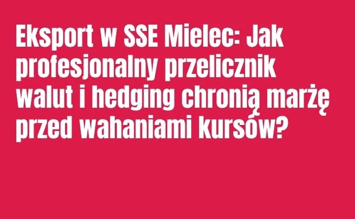 Obraz do artykułu: Eksport w SSE Mielec: Jak profesjonalny przelicznik walut i hedging chronią marżę przed wahaniami kursów?