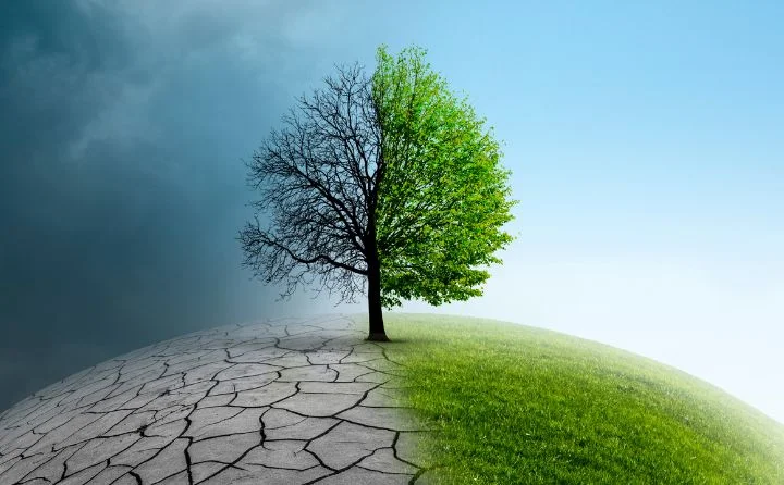 Mielec, a zmiany klimatu. Trwają prace nad Miejskim Planem Adaptacji