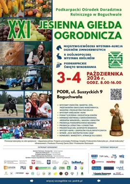 Grafika promocyjna wydarzenia XXI Jesienna Giełda Ogrodnicza i Święto Winobrania w Boguchwale