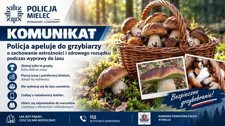 Grzybobranie może skończyć się tragicznie. Policja z Mielca apeluje o rozwagę