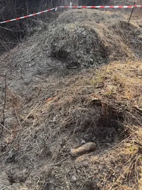 Granaty z II wojny znalezione w lesie Podleszany - saperzy zabrali niewybuchy
