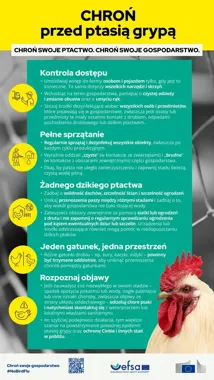 Sezon migracji zwiększa ryzyko grypy ptaków. Pięć zasad dla hodowców